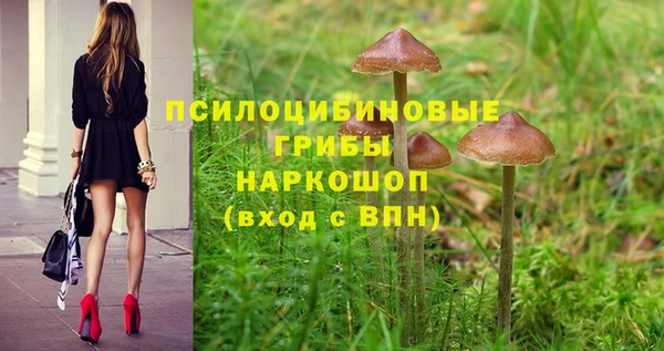 стаф Михайловка