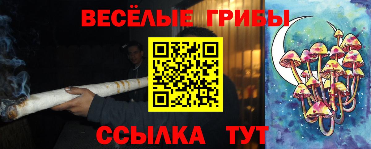 Галлюциногенные грибы Psilocybe  Псилоцибиновые грибы Psilocybe  закладки  Советск  Вход с VPN 